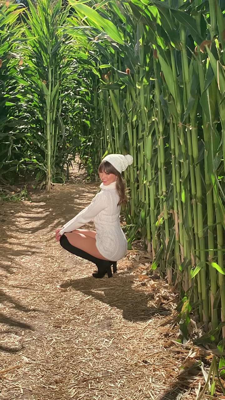 331 Riley Reid  porn