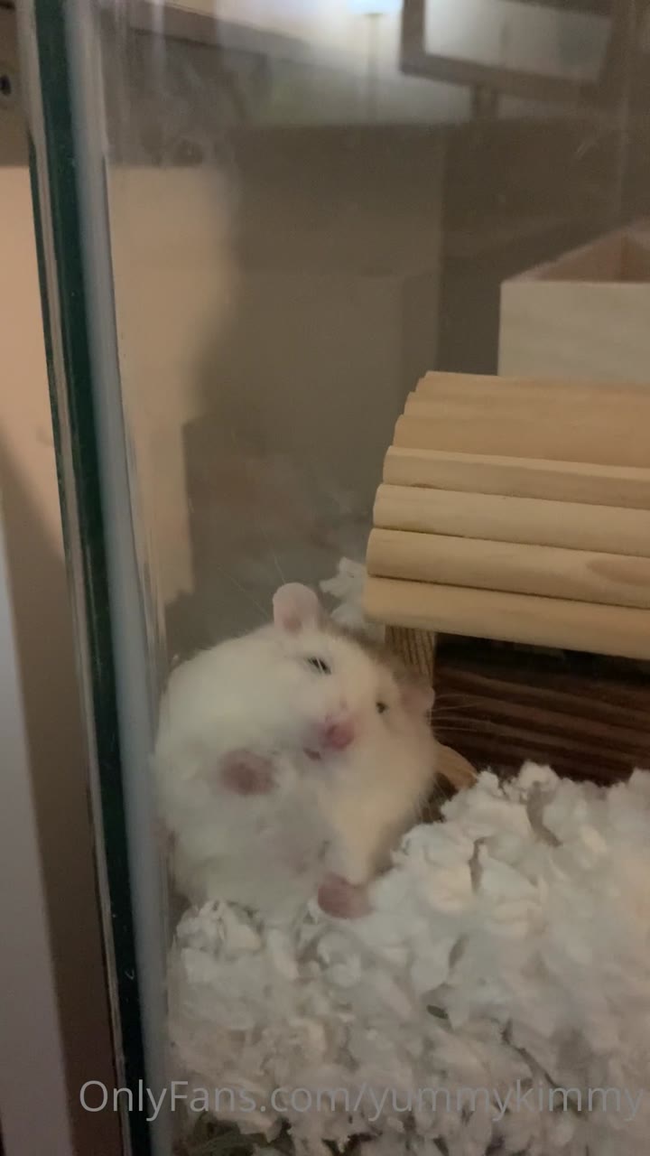 390 Yummykimmy onlyfans leaked