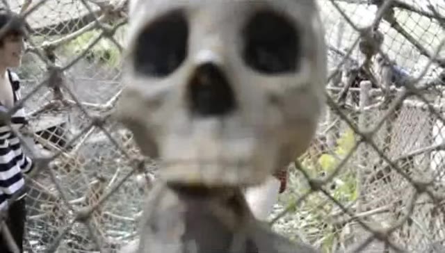 68 Ashe Maree leaked video