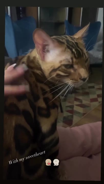 neringa kriziute sexy pics