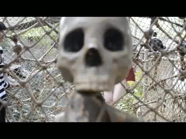 6 Ashe Maree leaked video