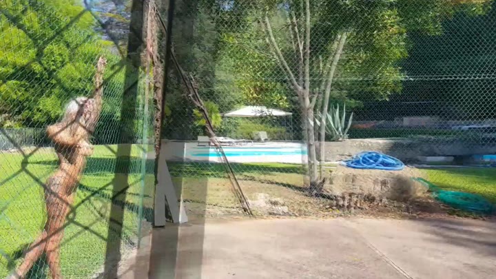 78 Natalee007 leaked nude show