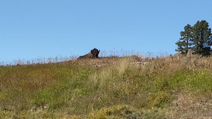 154 Lacy Lennon porn video