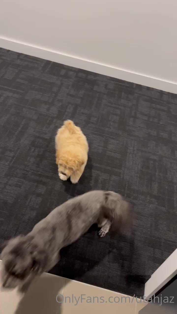 173 Utahjaz leaked onlyfans nude video