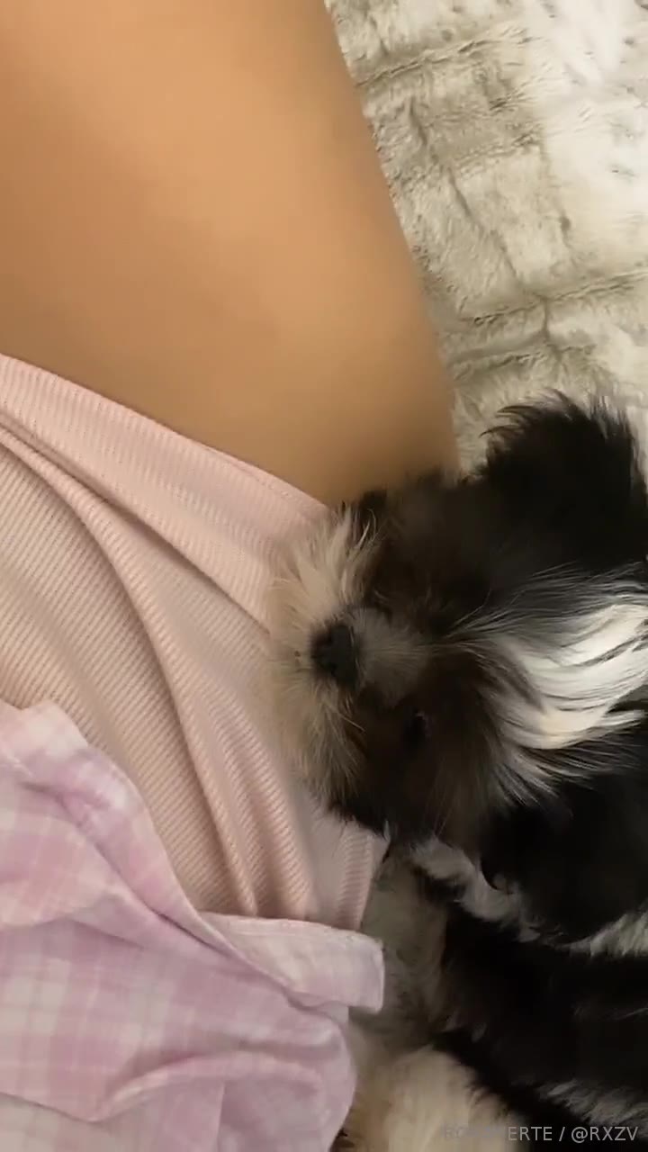 137 rosaverte onlyfans leaked