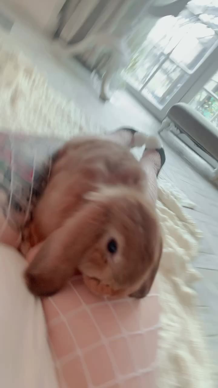 7 suisaiuwu onlyfans leaked