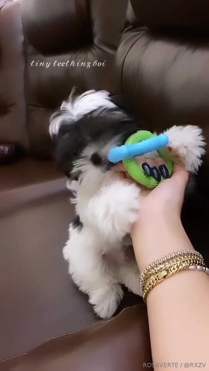 189 rosaverte onlyfans leaked