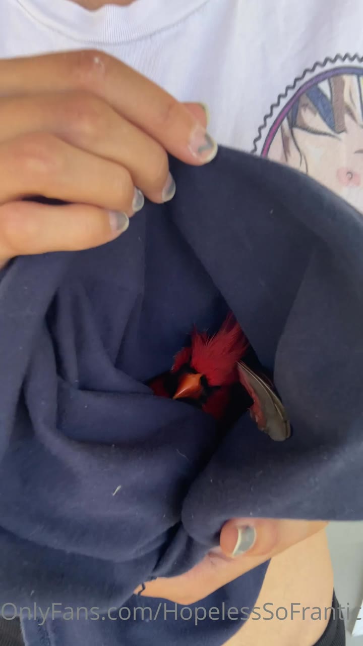 26 Hopelessofrantic leaked onlyfans nude