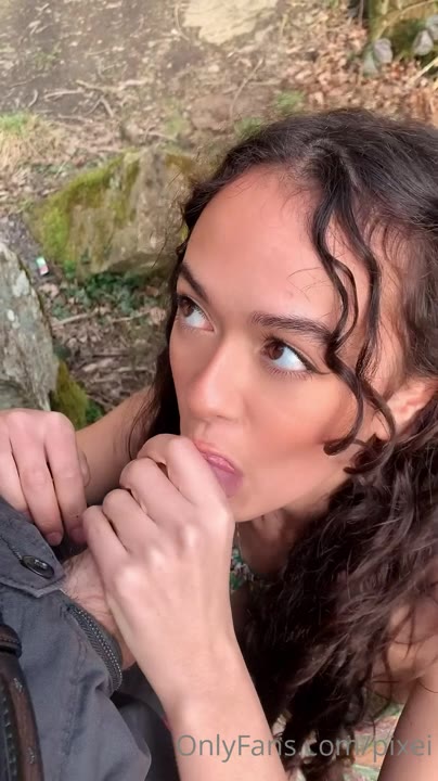 catty pixei  l e a k e d