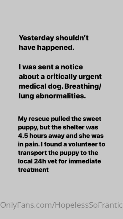 111 Hopelessofrantic leaked onlyfans nude