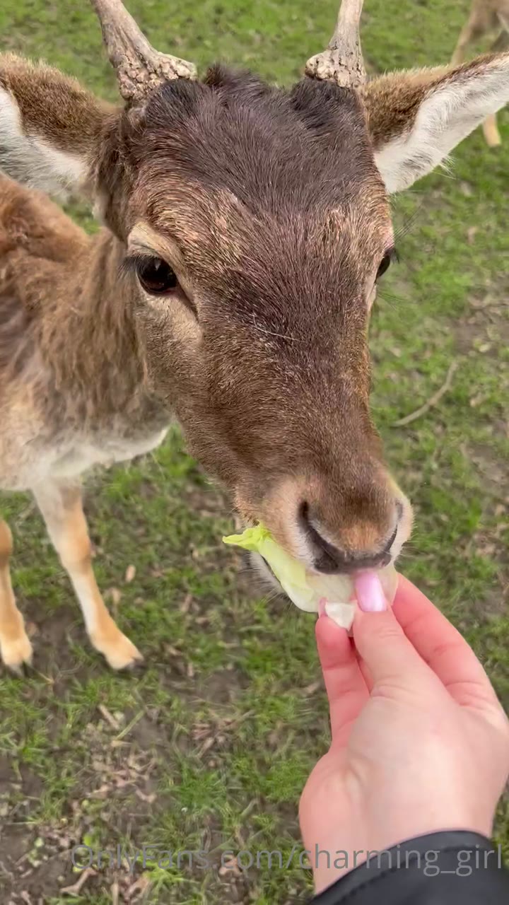 7 Charming_girl leaked onlyfans pussy play