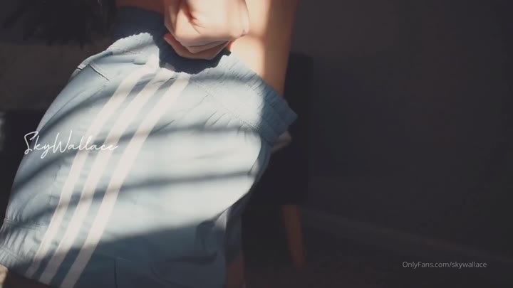 skywallac