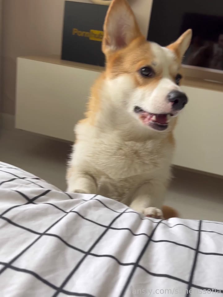 248 simenssofia onlyfans leaked