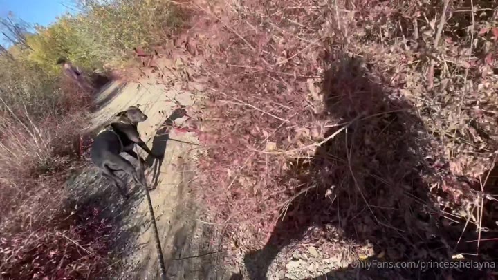 103 Princesshelayna leaked onlyfans nude video