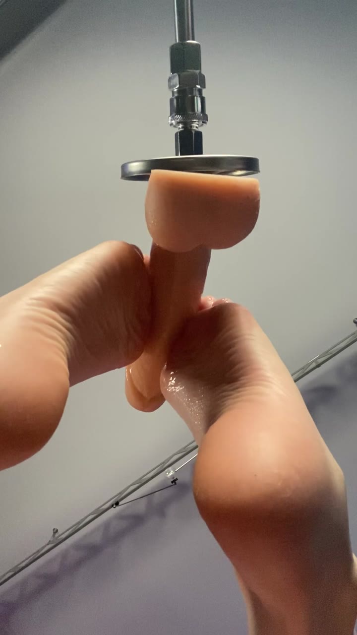 siasiberia spider gwen