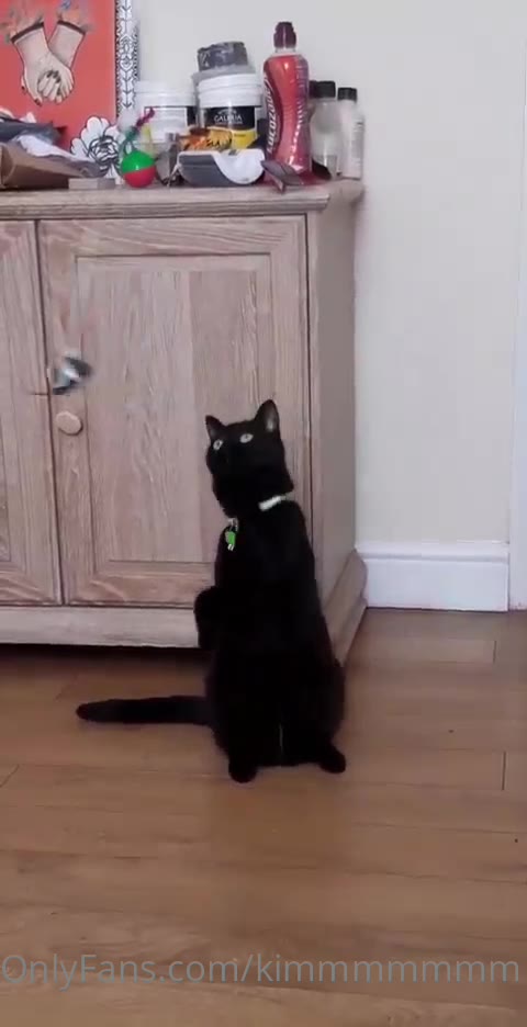 mikeyyroses9 Nude Leaked Exposed