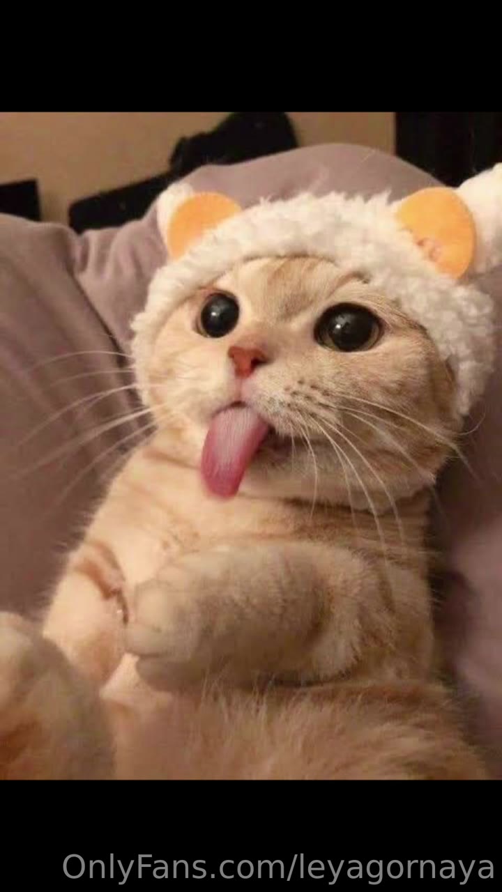 Mylittlerain solo Sensational