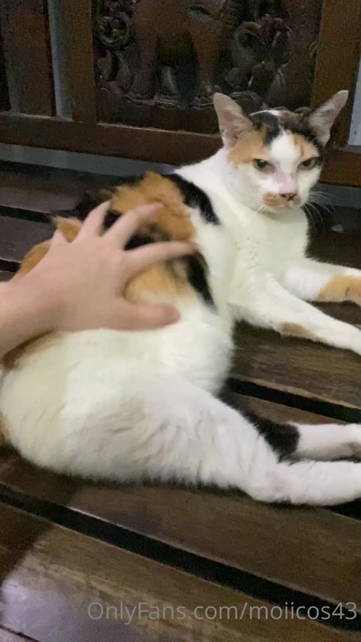 moiicos43 leaked nudex Exposed