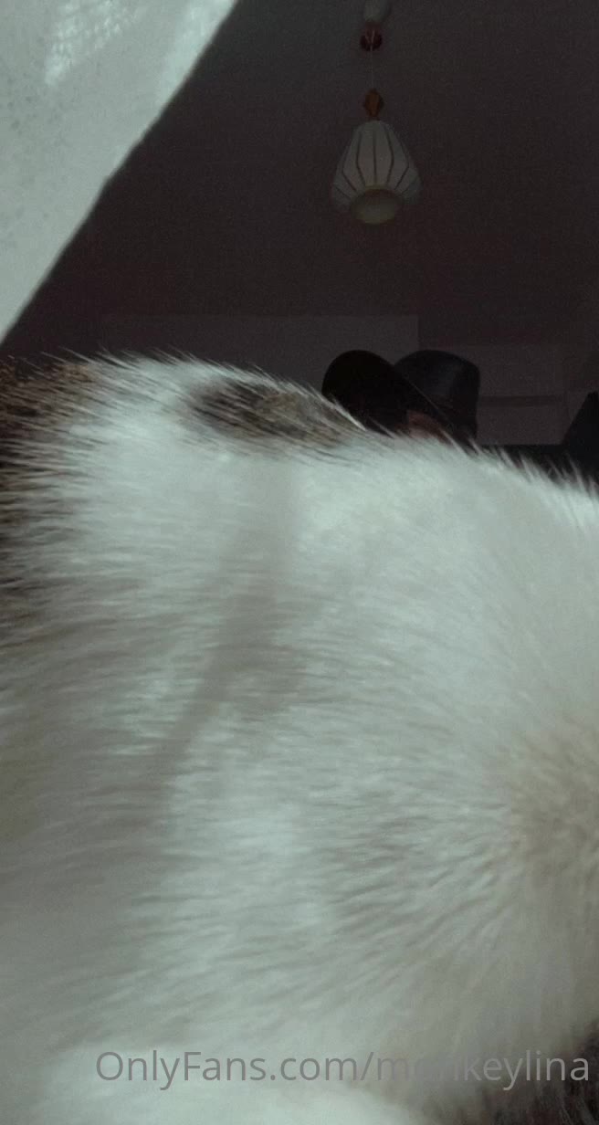 hardcore monkeylina nude tits Exclusive full video Epic