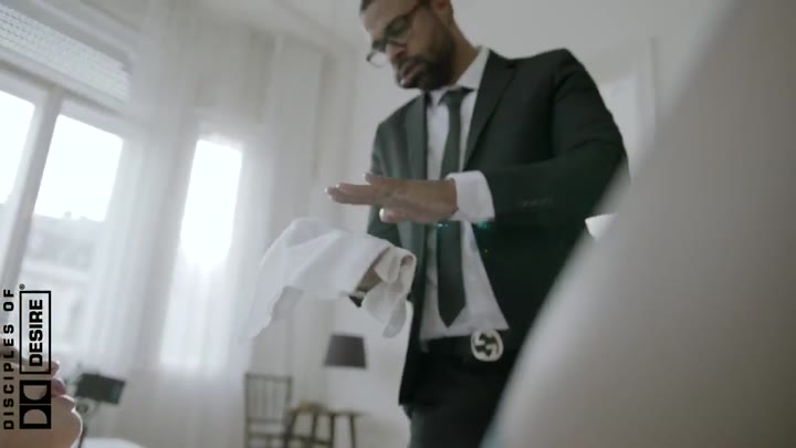 Epic cow StellaCardo solo