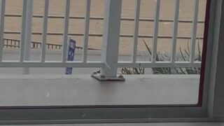 Ursecretgirlfriend leaked OnlyFans: Petite Blonde’s Public Blowjob and Masturbation