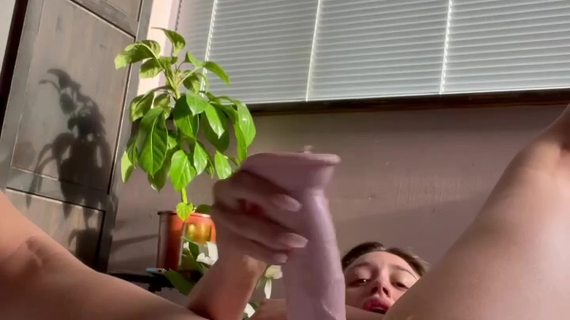 Exposed Shrewd asian Littlesubgirl nudes
