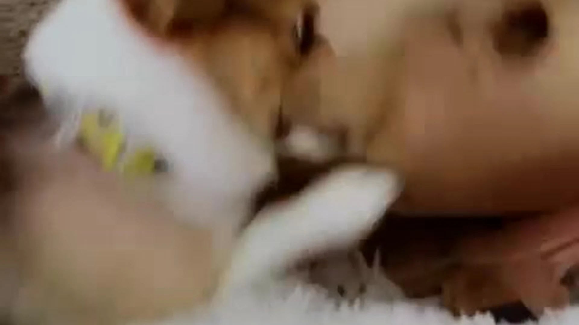 brunette Molly Stewart onlyfans leaked pics