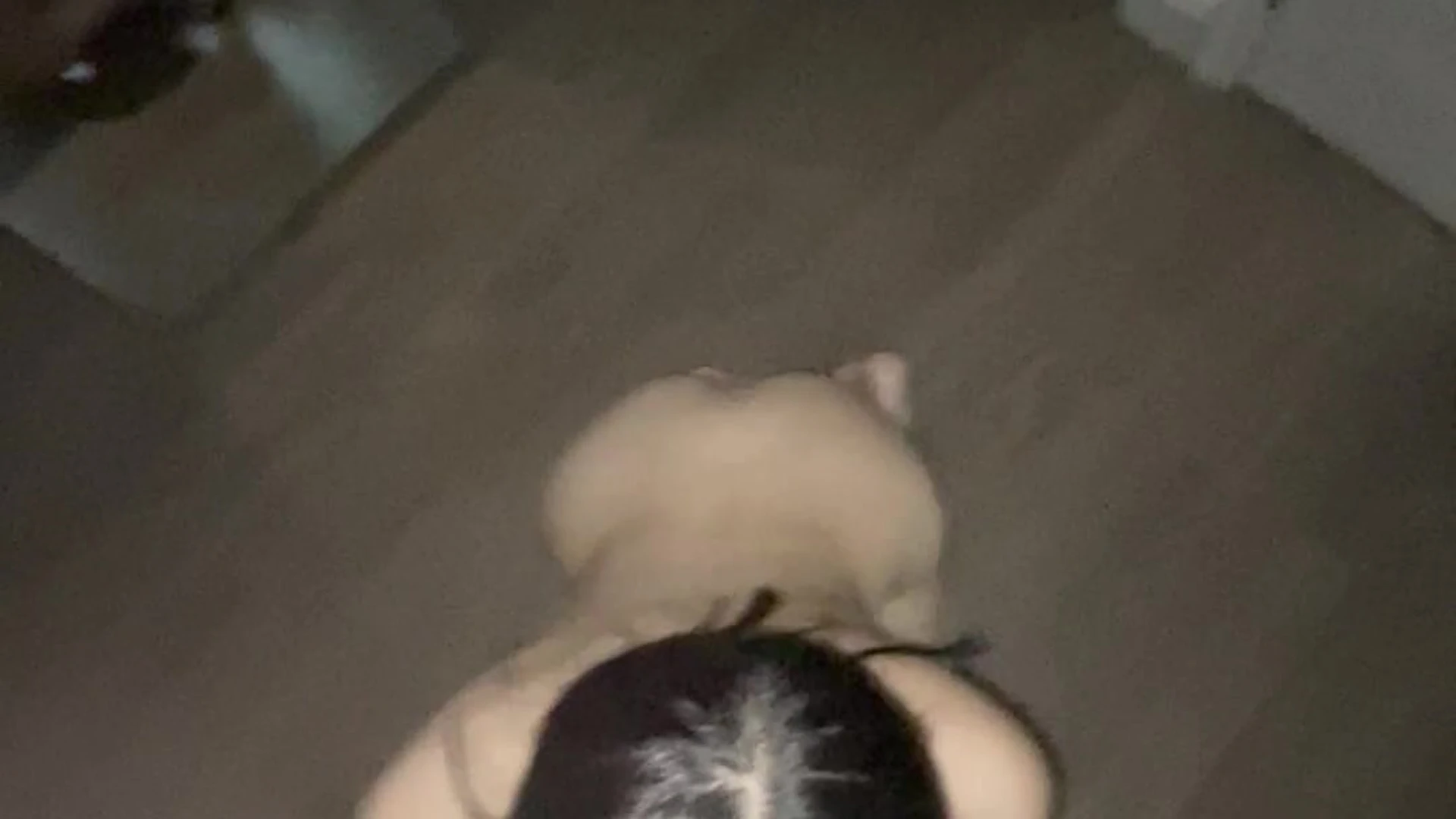 perky tits that1iggirl leaked onlyfans pic